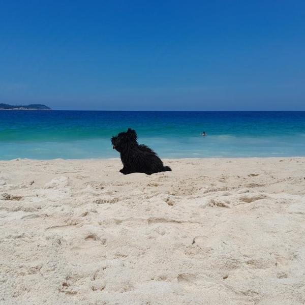 charmosa cobertura em Ipanema na quadra da praia de quarto, sala, terraço e sauna