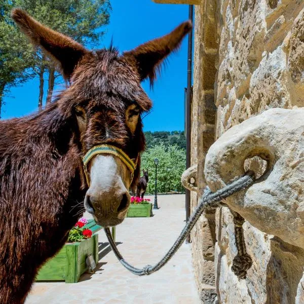 La Quercia e l'Asino, hotell i Piazza Armerina