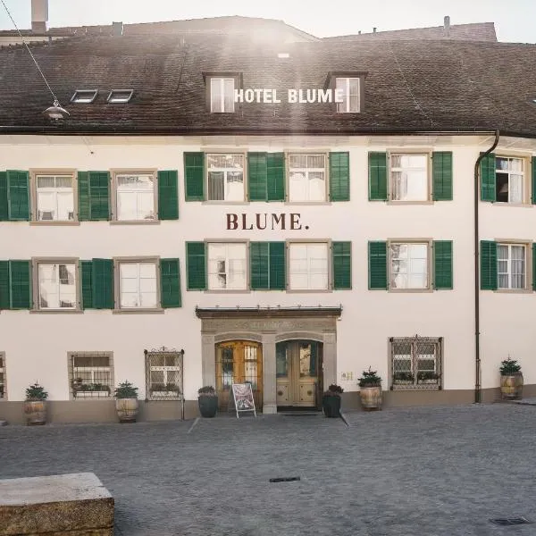 Hotel Blume - Swiss Historic Hotel, hotel v destinaci Baden