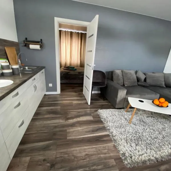 Trumpalaikė Nuoma-Apgyvendinimas, hôtel à Rokiškis