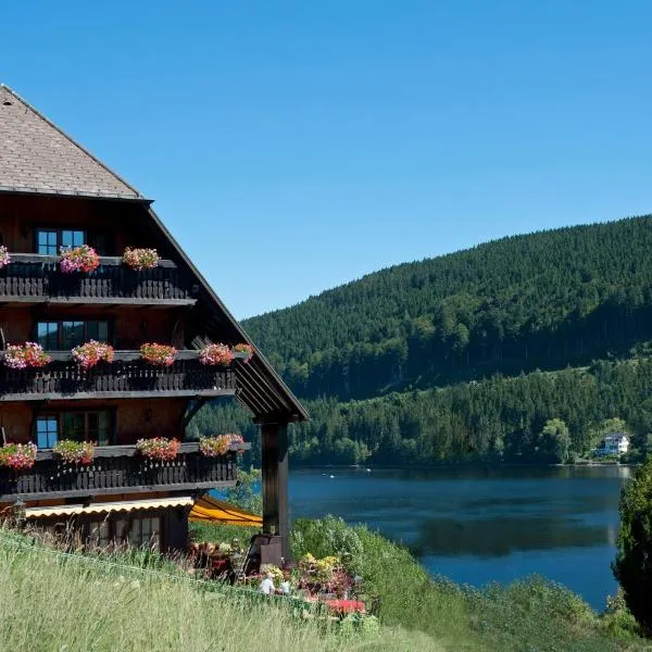 Alemannenhof - Boutique Hotel am Titisee, hotel in Saig