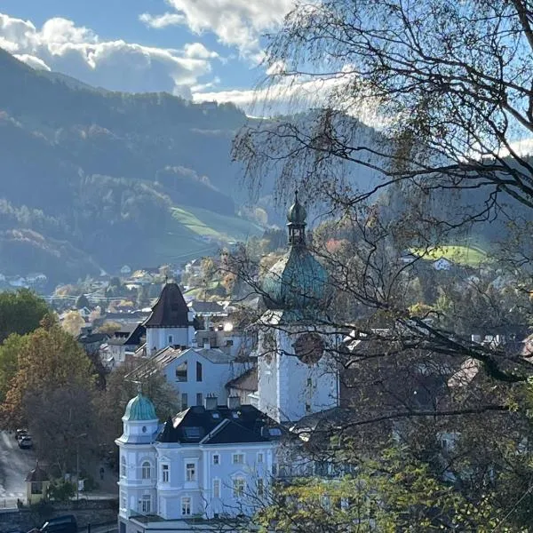 Kerschbaumer.Apartments, Hotel in Waidhofen an der Ybbs