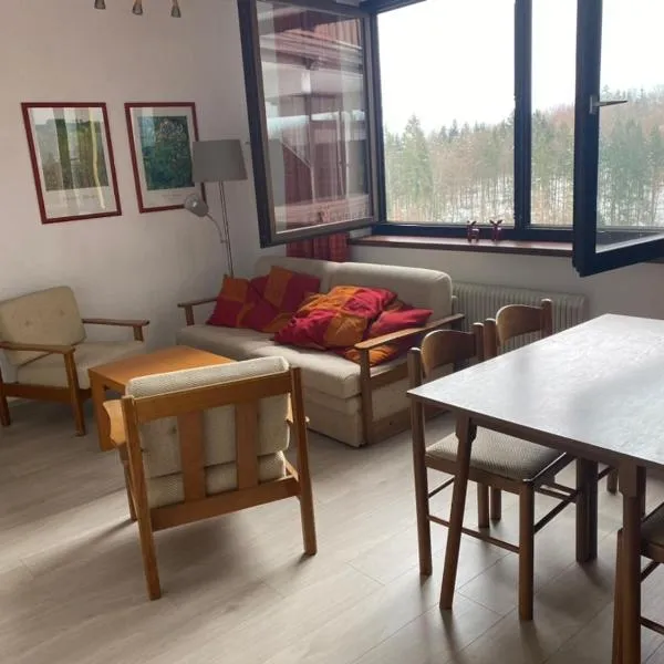 Dachstein Panorama-Lodge, hotel v destinaci Bad Goisern