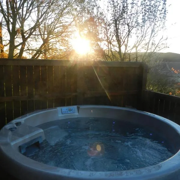 Silver Birch Lodge with Hot Tub, hotel v destinaci Cupar