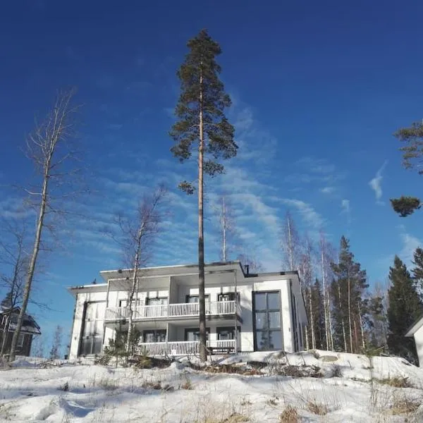 MUURAME RIIHIVUORI PARITALOHUONEISTO SKI, hotel in Muurame