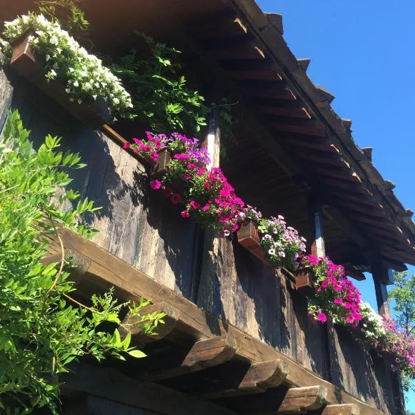 Stefanina Guesthouse, hotel in Bozhentsi