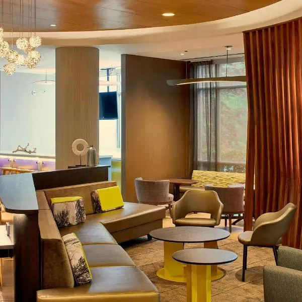 SpringHill Suites by Marriott Atlanta Airport Gateway、Hillandaleのホテル