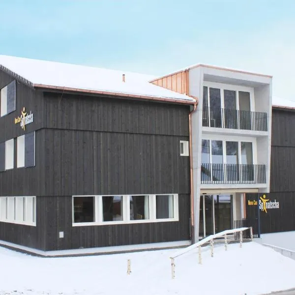 Nova Casa Spinatscha Sedrun, hotel v destinaci Sedrun
