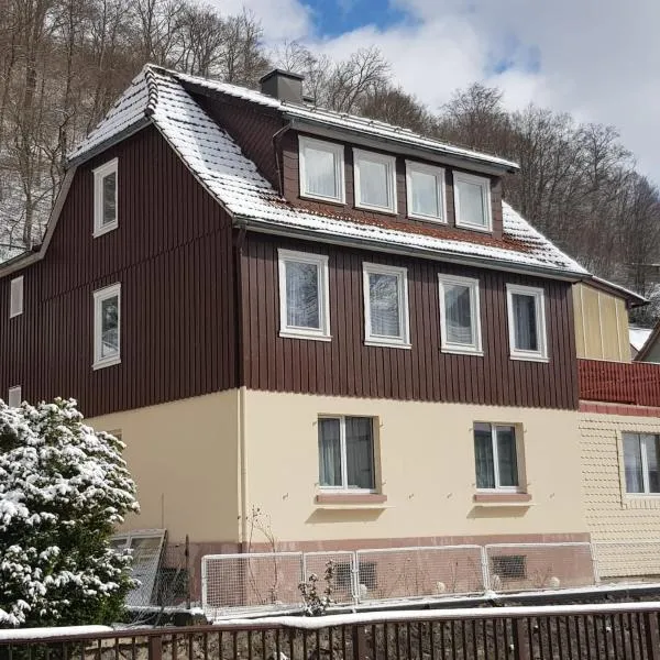 Ferienhaus am Fluss mit traumhafter Dachterrasse ,Garten und Grill, hotel di Walkenried