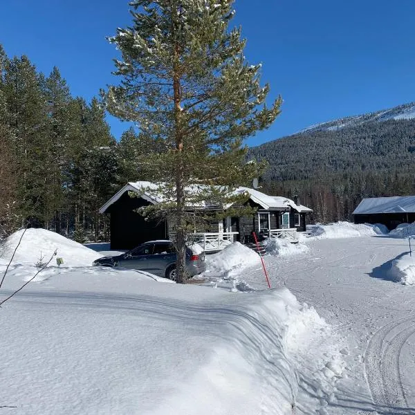 Nymon Mountain Lodge, hotel v destinaci Stöten