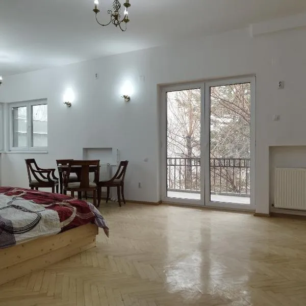 Central appartment - heart of Bucharest - sector 1 - new renovated - open space、ブカレストのホテル