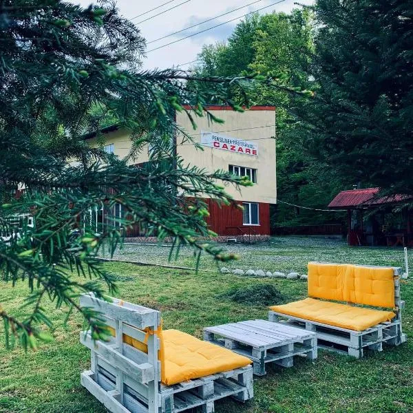Pensiunea Păstrăvul, hotel v destinaci Cîrţişoara