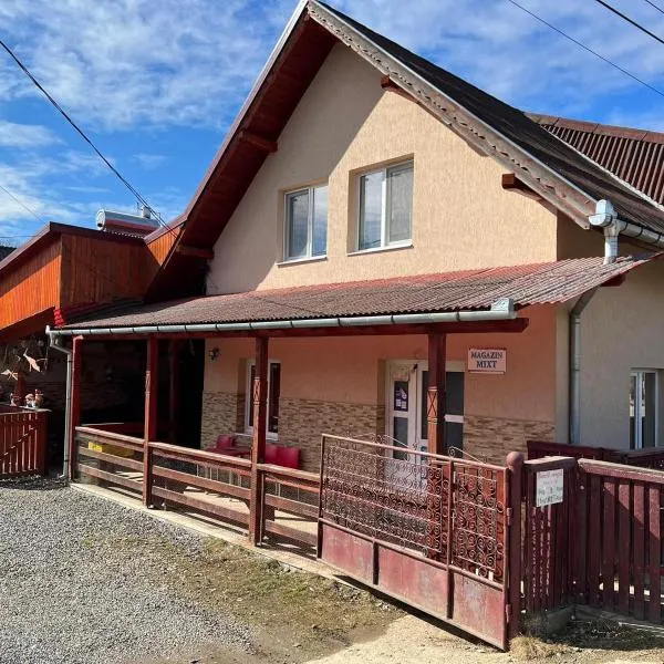 Casa Nico, hotel in Sărmaş