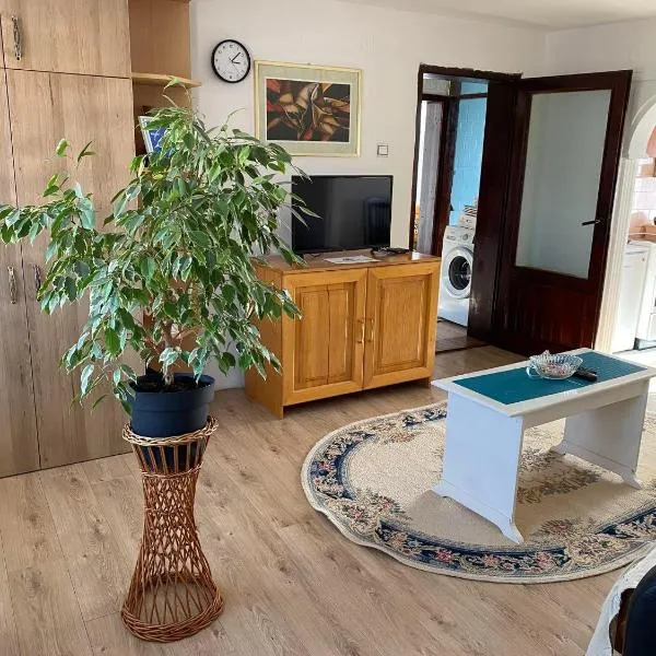 Mićin dom, hotel in Pirot