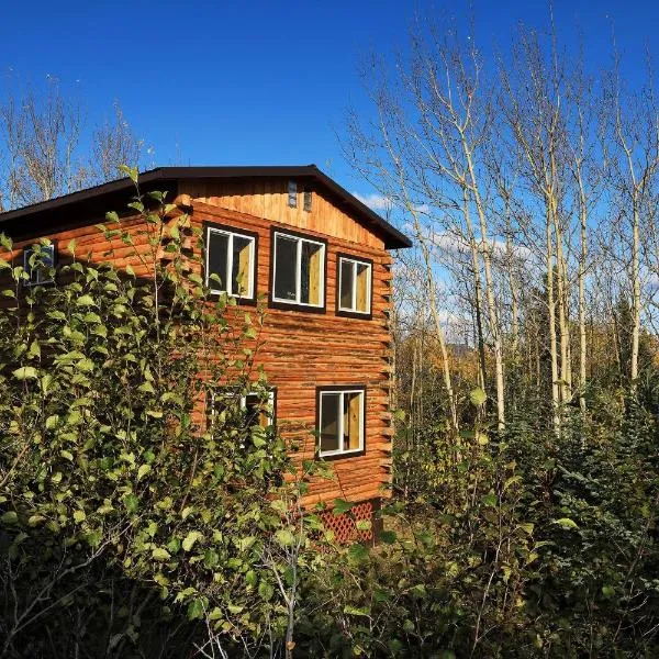 Denali Park View Family Log Cabin, hotel i McKinley Park