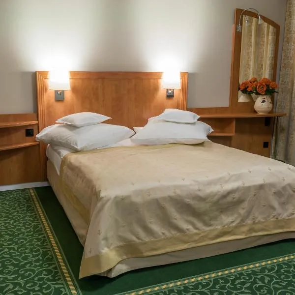 Pensiunea Terra, hotel v destinaci Bistriţa