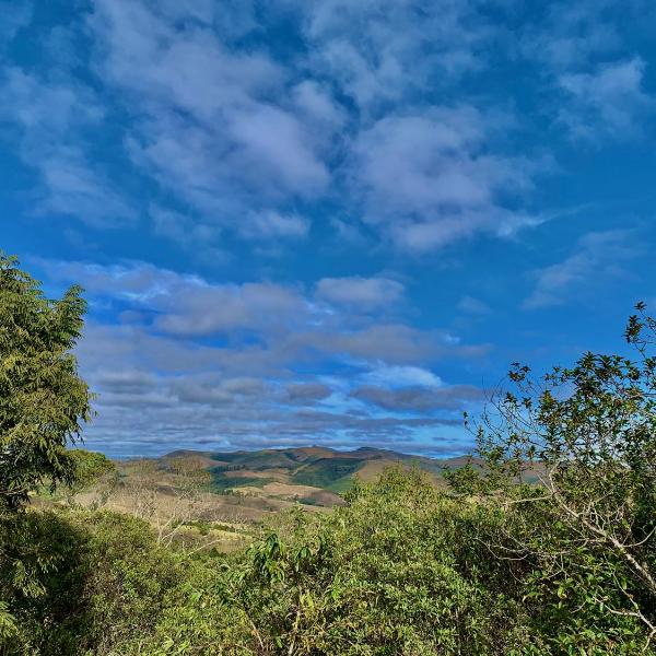 August de Saint Hilaire/ Reserva Alto da Colina - Foto 4