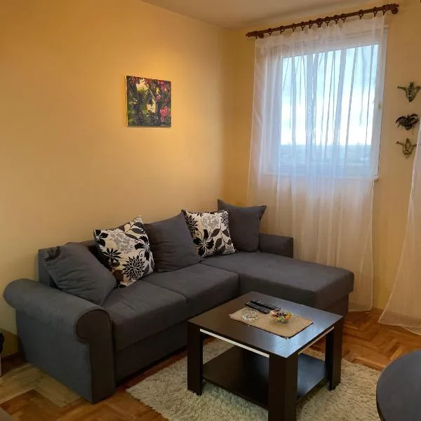 Apartman Helena, отель в городе Lazarevac