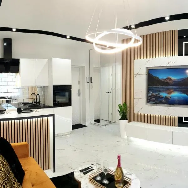 VIP Room 2+2, hotel v destinaci Konin