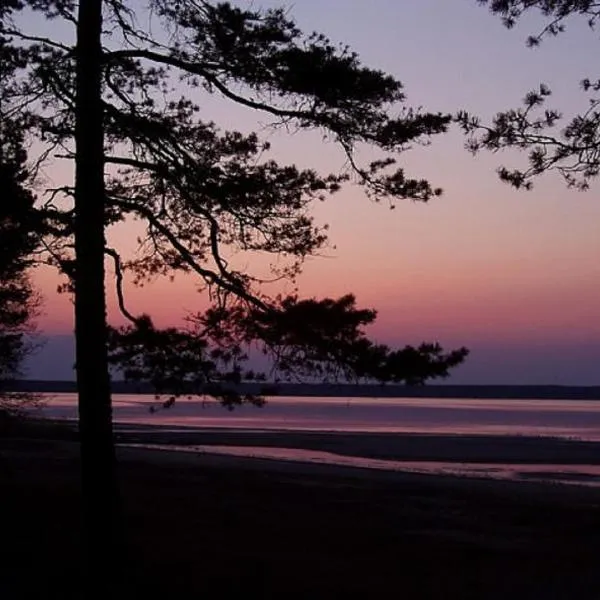Hiirevända Holiday House, hotel in Võsu