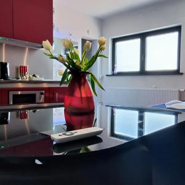 Logeerkamer XXL 25 m2, hotel i Zemst
