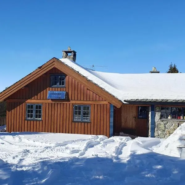 Cozy log cabin at beautiful Nystølsfjellet, hotel in Reinli