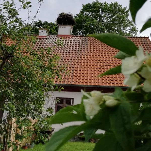 Żywkowo Bocianie Gospodarstwo Rolne, hotel v destinácii Górowo Iławeckie