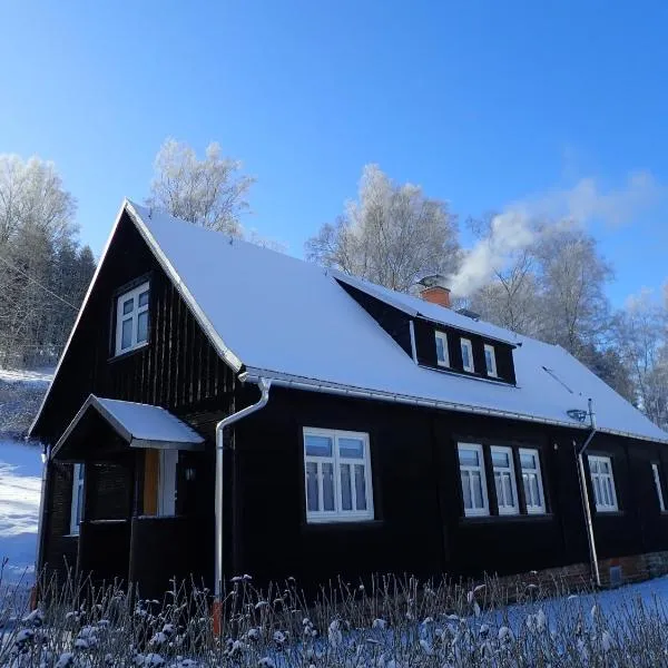 Ferienhaushälfte Gösselberg Anno Dazumal, hotel v destinaci Klingenthal