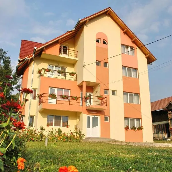 Pension Nicoleta, hotel in Măldăreşti