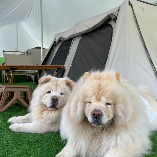 iGo Glamz 爱狗露营 Pet Friendly Glamping, hotel v destinaci Genting Highlands