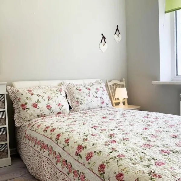 Lovely 1-bedroom apartment in a historical town, מלון בסילמאה