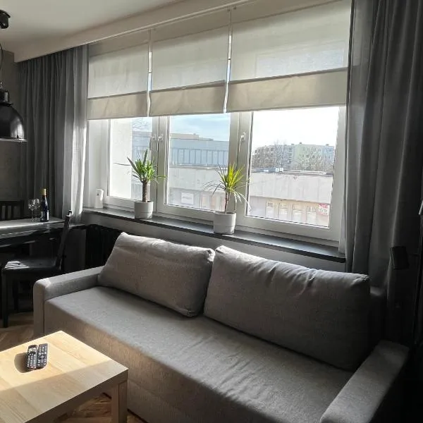 Luksusowy loft nad jeziorem Swarzędz - Poznań TV wi-fi pralko-suszarka piekarnik, hotel in Swarzędz