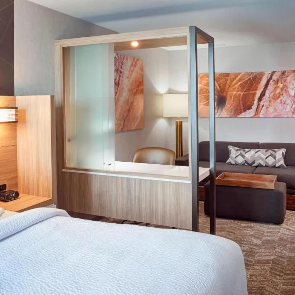 SpringHill Suites by Marriott Grand Rapids West, hotel sa Allendale