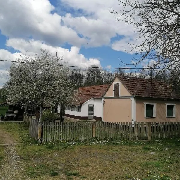 Orljak, hotel Babina Greda városában
