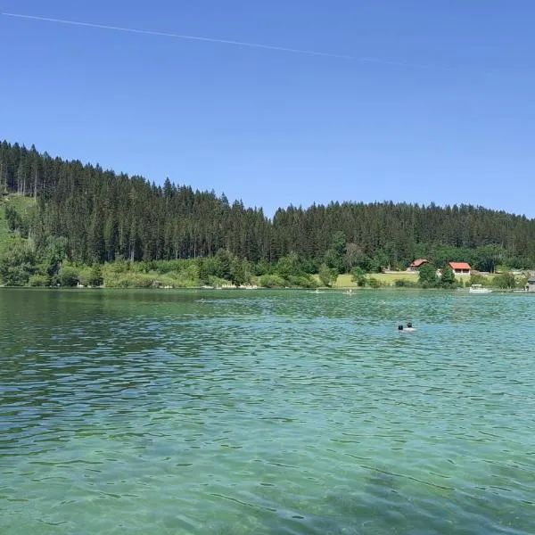 Nur 3 Min zu Skilift & 5Min zum See, hotel v destinaci Mitterbach