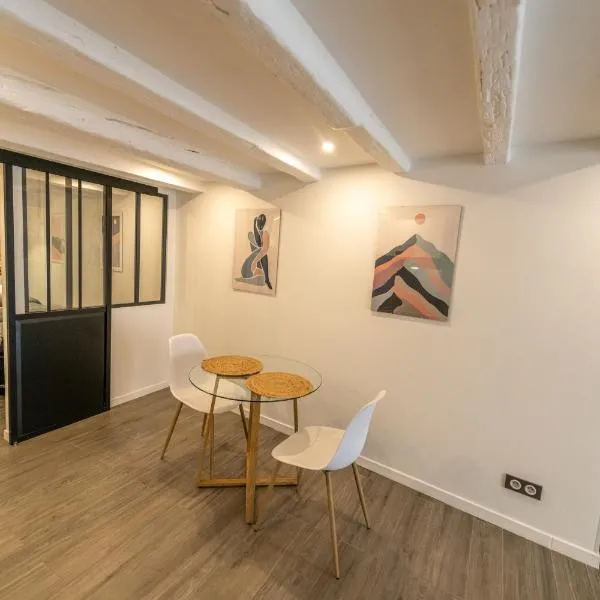 CONFORTABLE 2 PIÈCES AU CŒUR DU CENTRE HISTORIQUE, hotel ve Vienne