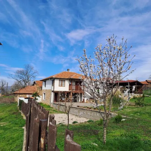 Casa Lambuh, hotel en Svirachi