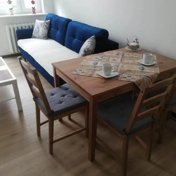 Apartamencik Perełka、スコチュフのホテル