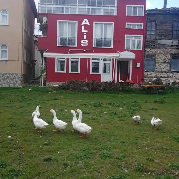 Ali's Pension, hotel di Egirdir