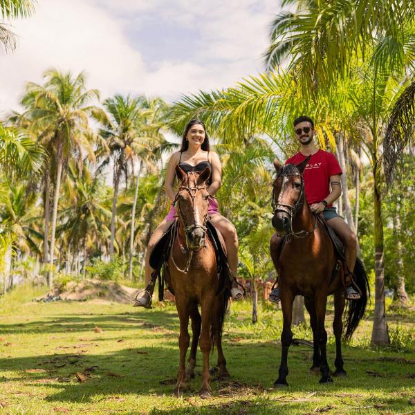 Eco Pousada Paraíso dos Coqueirais - Foto 3