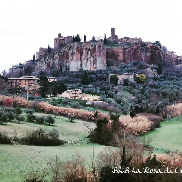 La Rosa di Orvieto, hotel in Orvieto