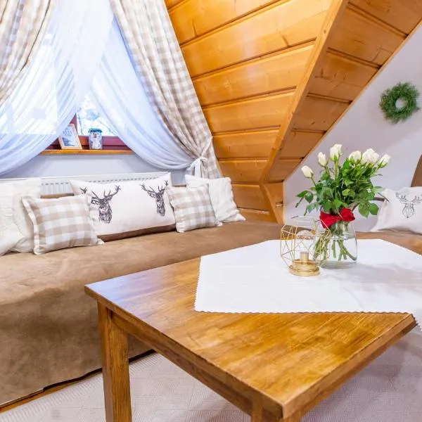 Rodzinny Dom i Apartamenty u Ciwersa z balią w ogrodzie, hotel in Białka Tatrzańska