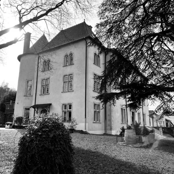 Bed and Breakfast Le Château de Morey, hotel v destinaci Morey