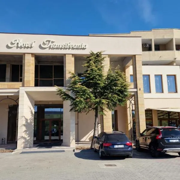 잘러우에 위치한 호텔 Hotel Transilvania Zalău