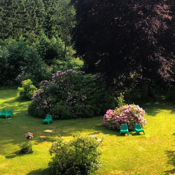 Berghotel HARZ, hotel i Hahnenklee-Bockswiese