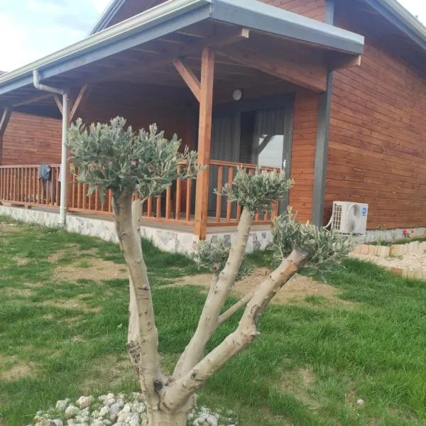 Koruwoodenhouse Alanya Gazipaşa, hotel v destinaci Gazipasa