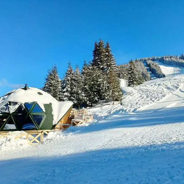 Domul Poarta Retezat, hotel in Rausor