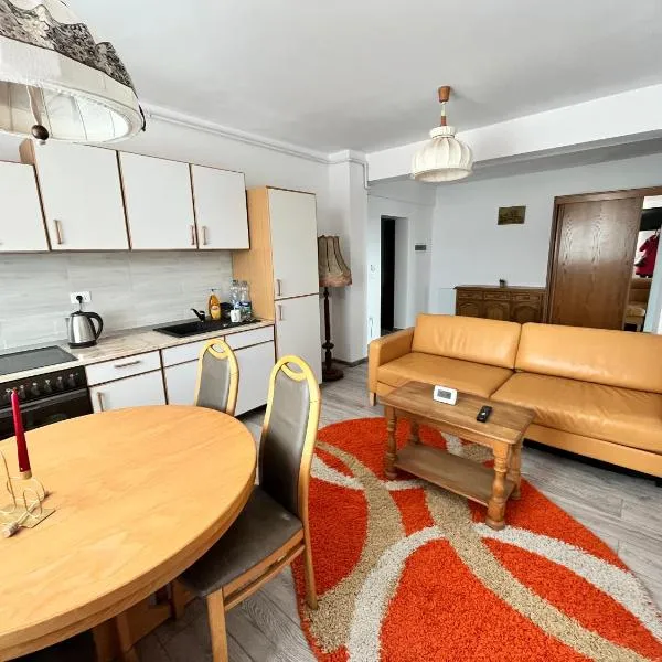 Panoramic La Cetate, hotel in Tîrgu Neamţ