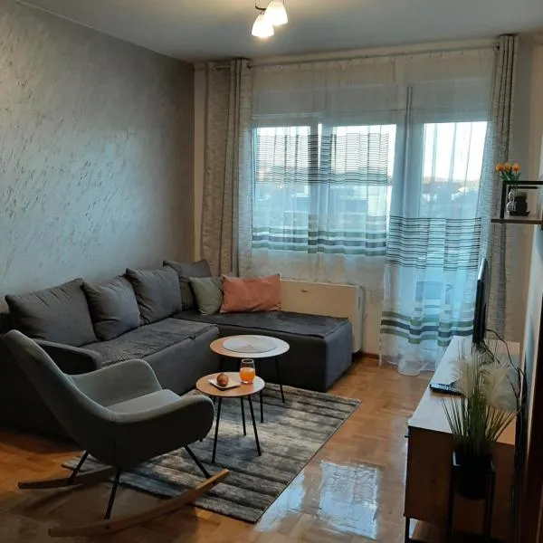 Apartman Milic Pirot-Zapadni Kej 10, hotel in Pirot