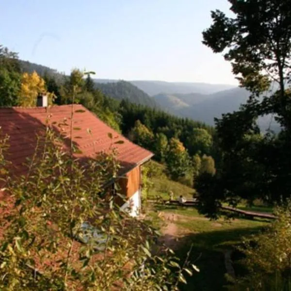 Appartement dans vielle ferme au coeur des Vosges, hotell sihtkohas Plainfaing